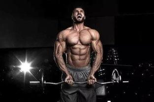 欧美男裸体肌肉男视频,欧美肌肉男裸体健身风采大揭秘